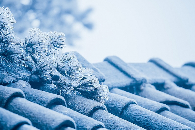 Настоящая зима началась 22 декабря в Китае